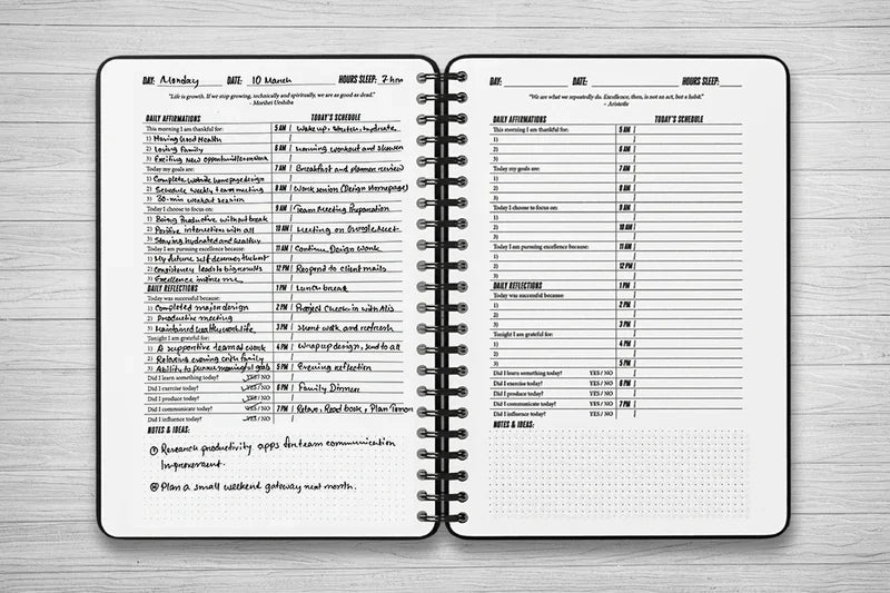 how to use the pursuing excellence planner