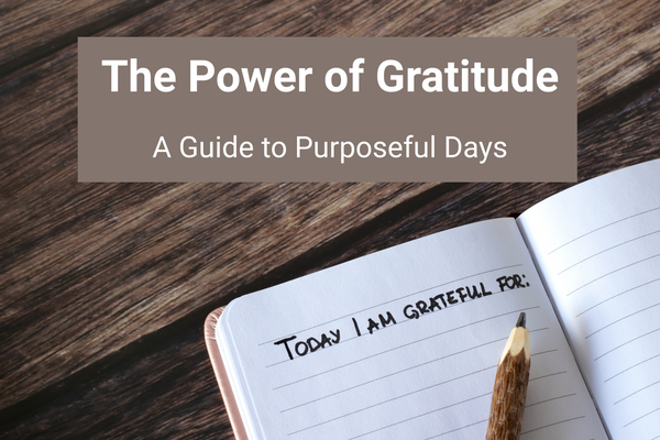 power of gratitude in daily life